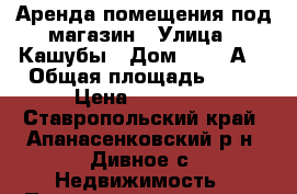 Аренда помещения под магазин › Улица ­ Кашубы › Дом ­ 28 “А“ › Общая площадь ­ 31 › Цена ­ 20 000 - Ставропольский край, Апанасенковский р-н, Дивное с. Недвижимость » Помещения аренда   . Ставропольский край